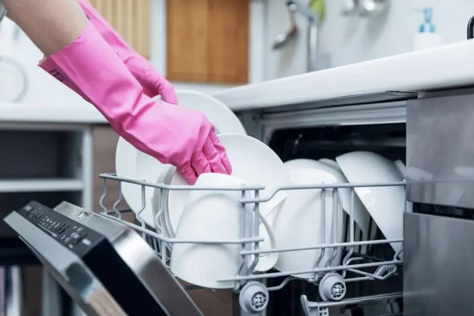 How to Clean Dishwasher Drain The Cleaning Hack